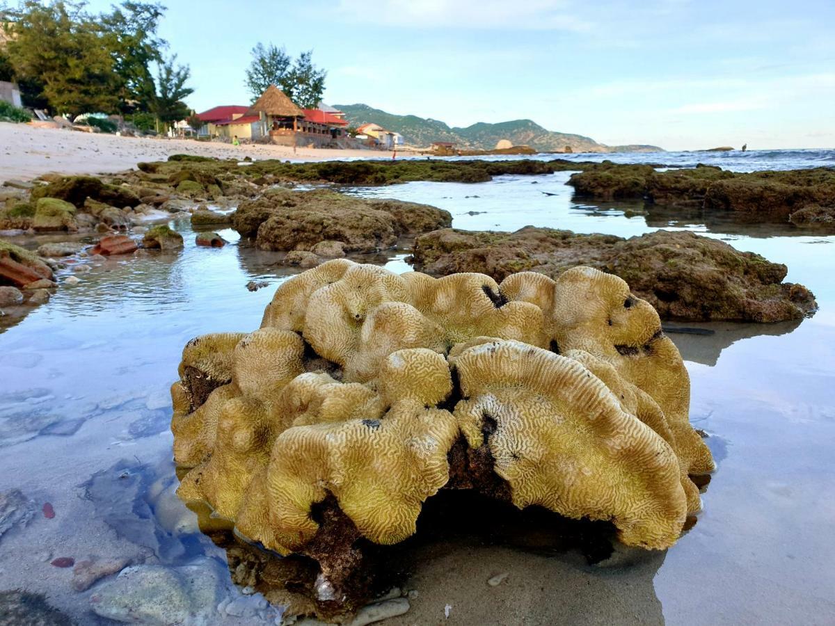 Mui Dinh Hotel ファンラン エクステリア 写真